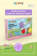 Renkleri Öğreniyorum - Böcekler Temalı | Renk Eşleştirme Oyunu - Görsel 2