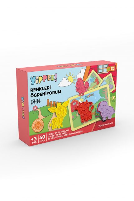 Renkleri Öğreniyorum - Renk Eşleştirme Kartları