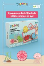 Renkleri Öğreniyorum - Okyanus Canlıları Temalı | Renk Eşleştirme Oyunu - Görsel 2