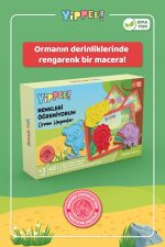 Renkleri Öğreniyorum - Orman Hayvanları Temalı | Renk Eşleştirme Oyunu - Görsel 2